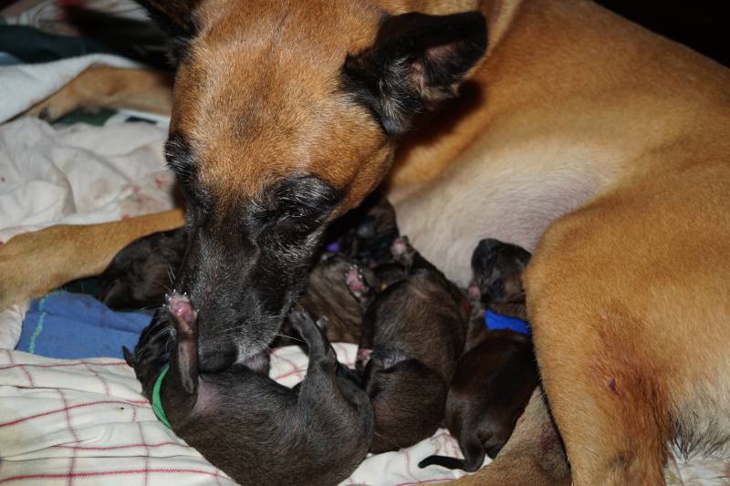 Die Geburt der kleinen F